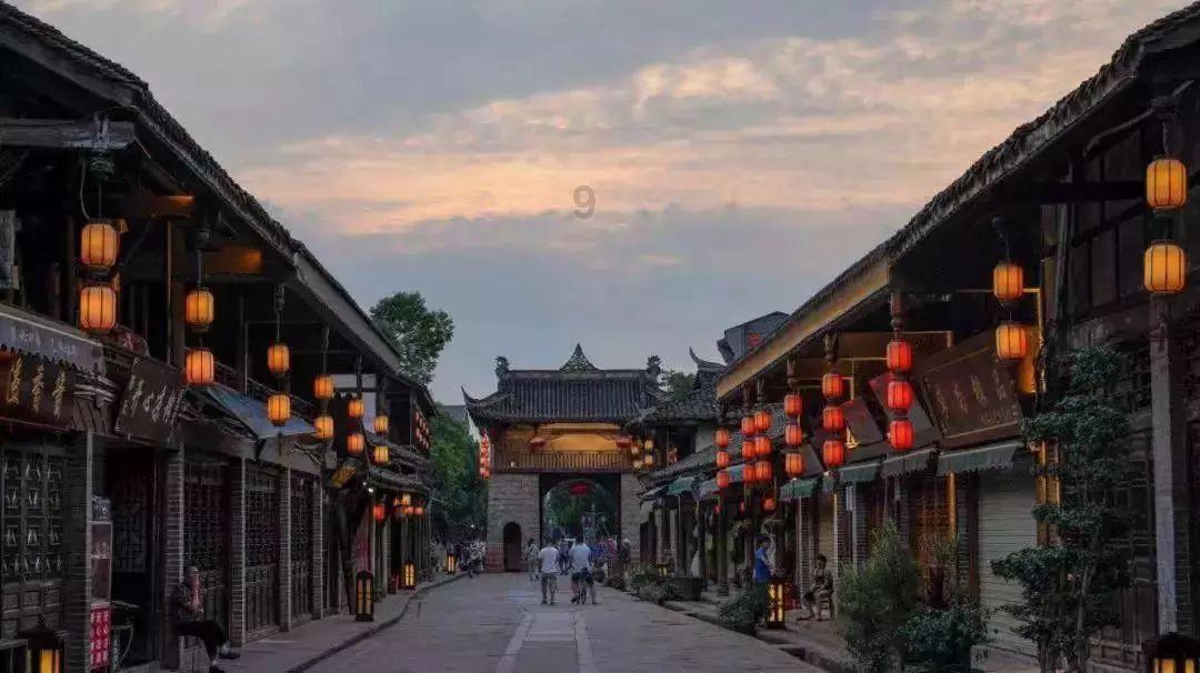 营救小猫头鹰